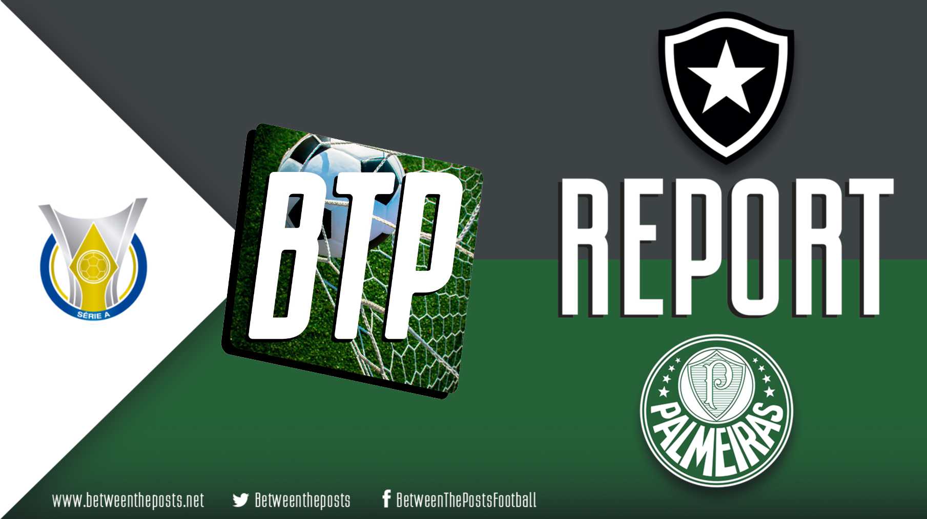 Botafogo Palmeiras 0-1 Brazil Serie A